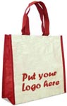 Non Woven Shopping Bag