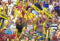 thundersticks